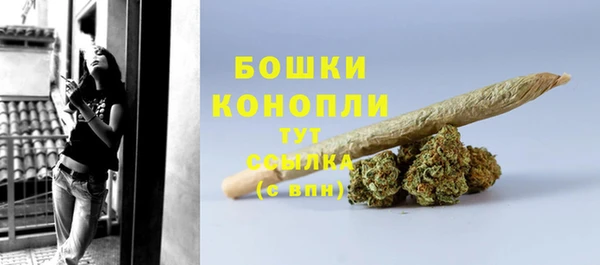 ПСИЛОЦИБИНОВЫЕ ГРИБЫ Гусь-Хрустальный