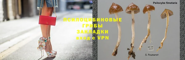 ПСИЛОЦИБИНОВЫЕ ГРИБЫ Гусь-Хрустальный