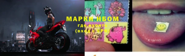 ПСИЛОЦИБИНОВЫЕ ГРИБЫ Гусь-Хрустальный