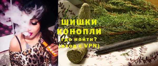 СК Гусев