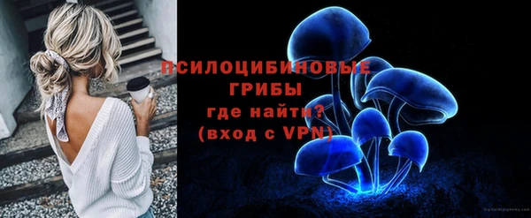 a pvp Гусиноозёрск