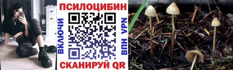 Псилоцибиновые грибы Psilocybe  Серпухов 